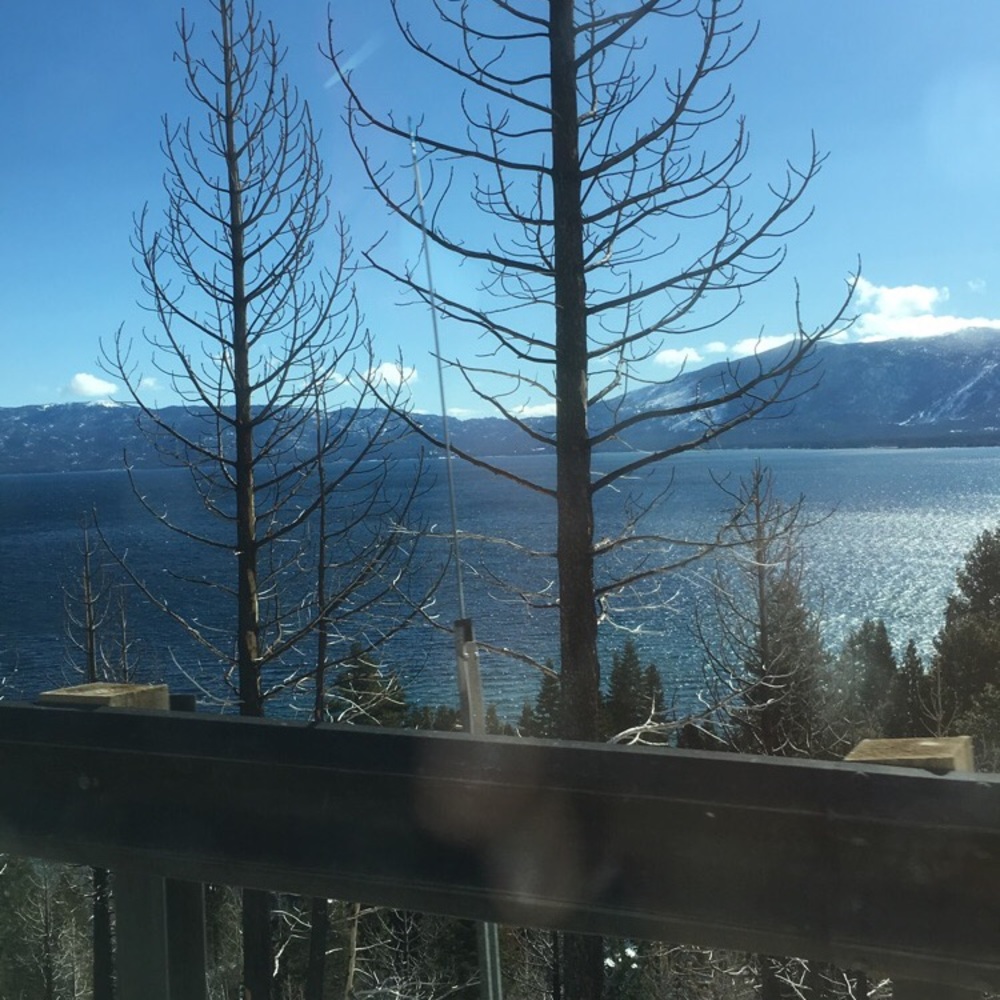 Meet your Posher, Susana